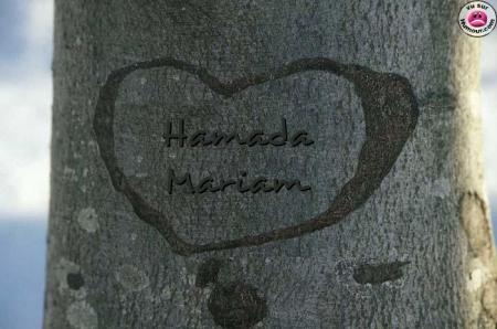 hamada mariam