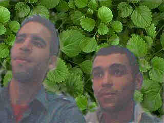 hamada y amego achraou